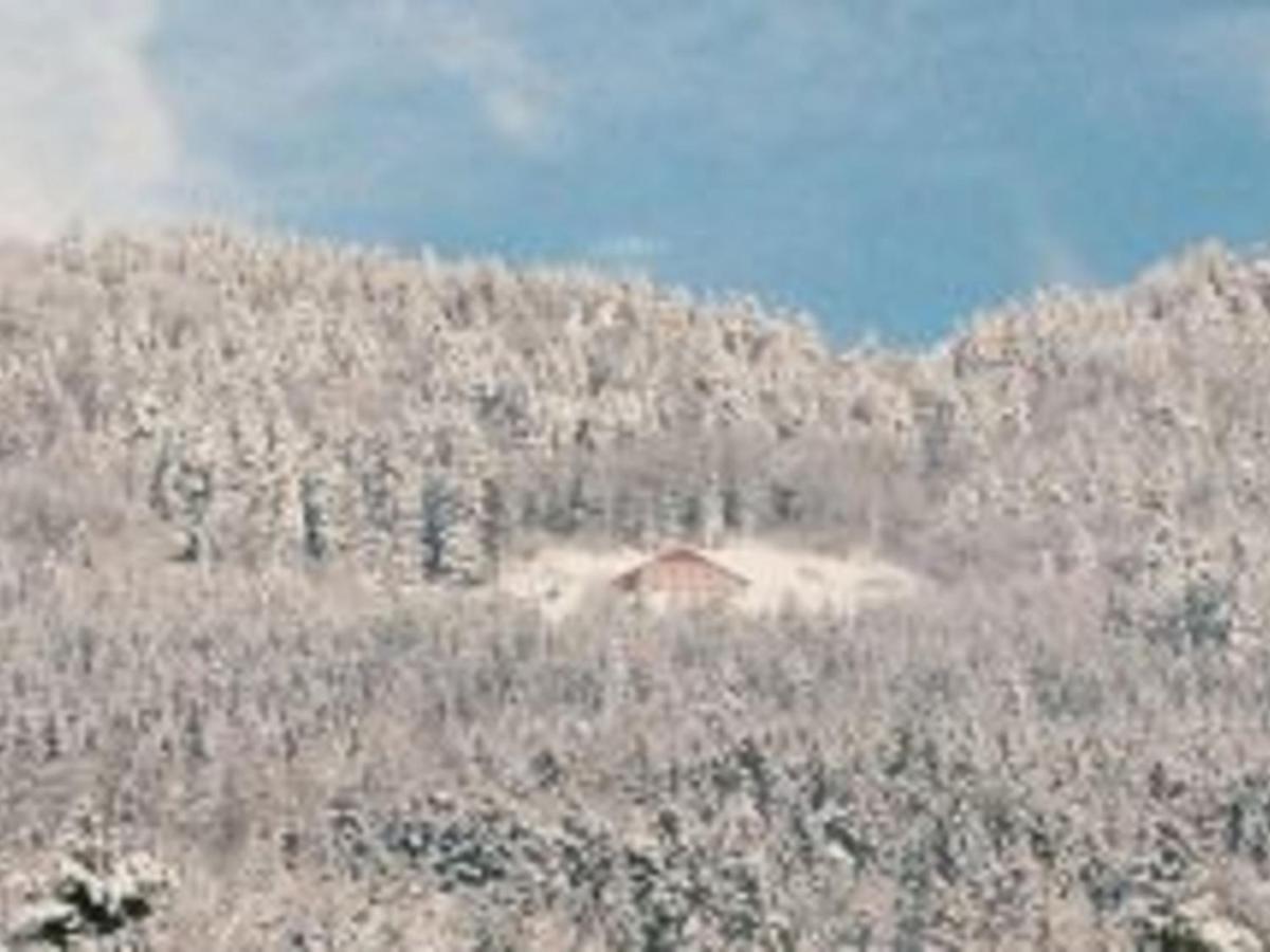 Gite Spacieux, Confort Moderne, 8 Pers, Terrasse Privative, Animaux Admis, Wifi - Fr-1-589-227 Vagney Экстерьер фото