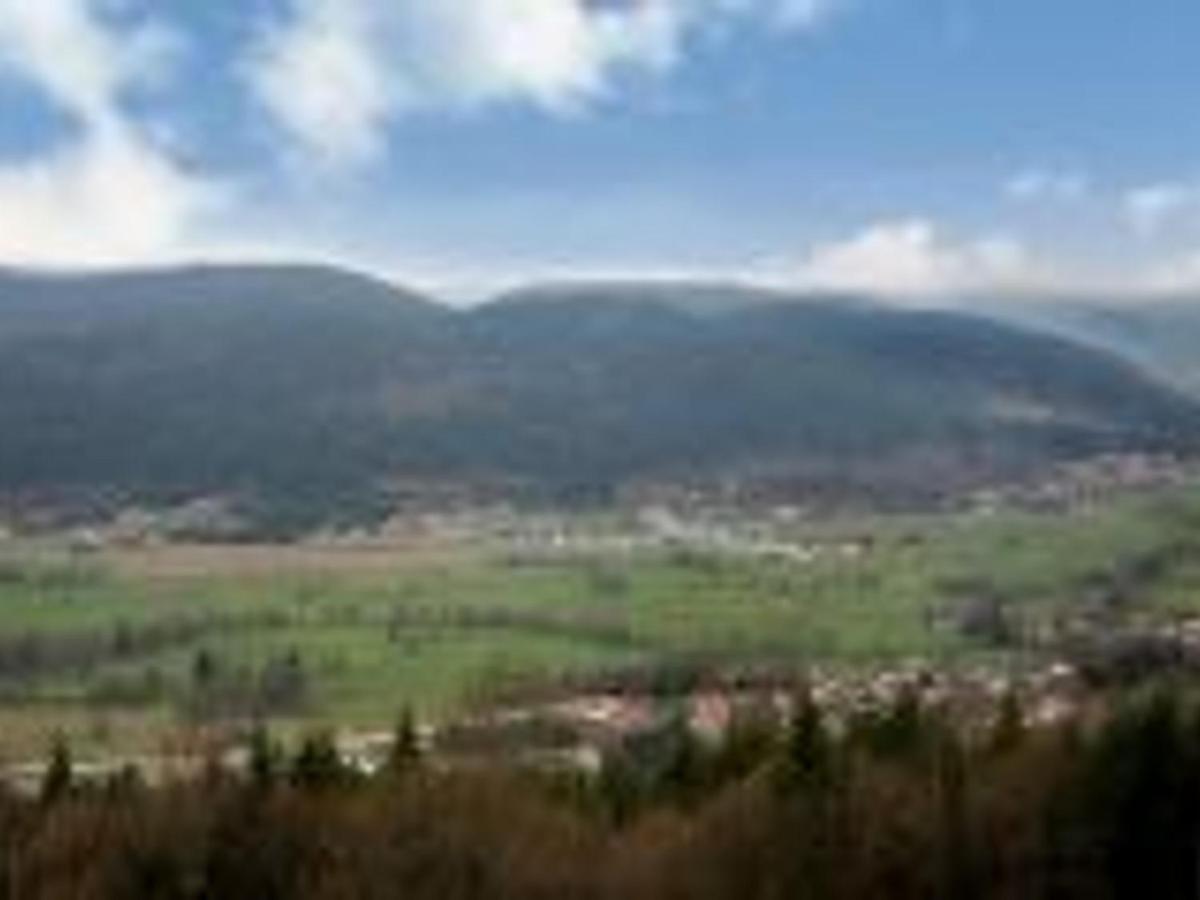 Gite Spacieux, Confort Moderne, 8 Pers, Terrasse Privative, Animaux Admis, Wifi - Fr-1-589-227 Vagney Экстерьер фото