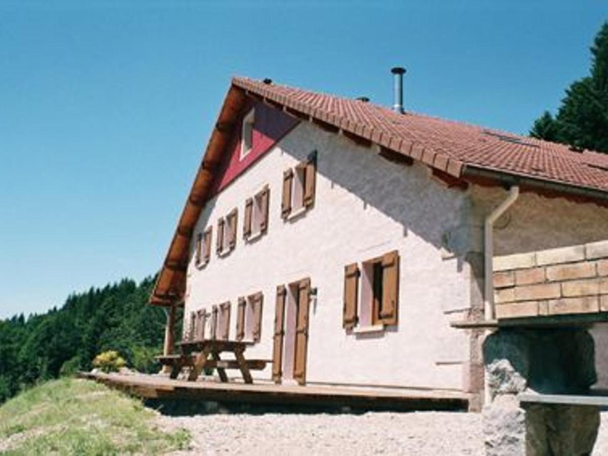 Gite Spacieux, Confort Moderne, 8 Pers, Terrasse Privative, Animaux Admis, Wifi - Fr-1-589-227 Vagney Экстерьер фото